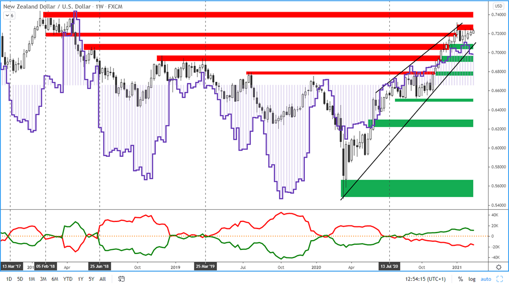 COT report - new zealand dollar - 12. 2. 2021