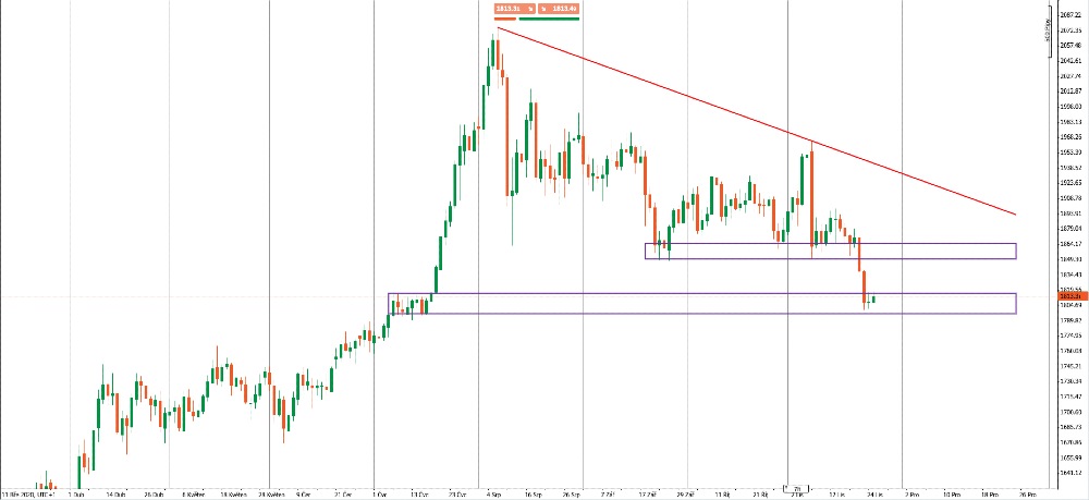 Graf: Denní graf EURCZK (Zdroj: Purple Trading cTrader)