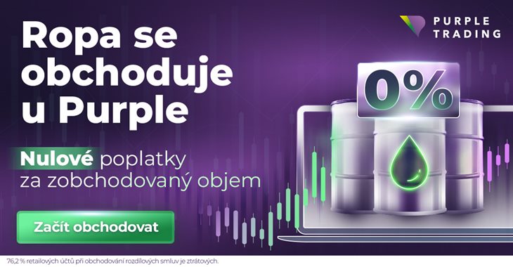 Purple Trading - Ukázka disclaimeru na online reklamě