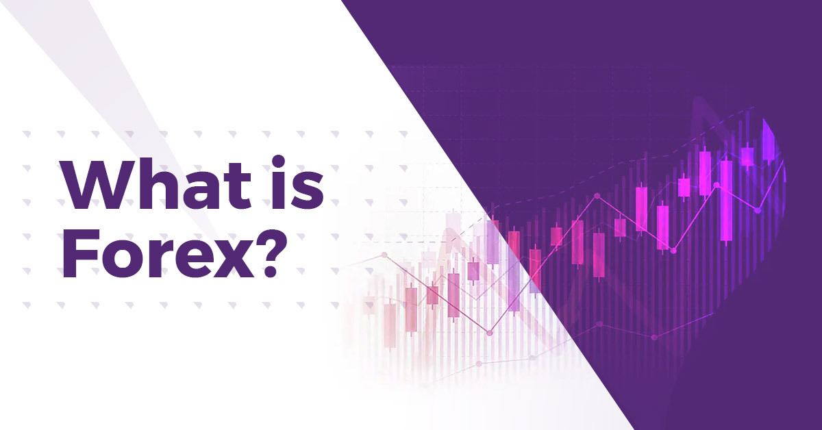 Metatrader 4 forex club